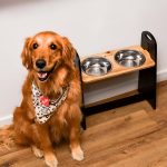 COMEDERO PARA PERROS 6 ALTURAS - Imagen 4